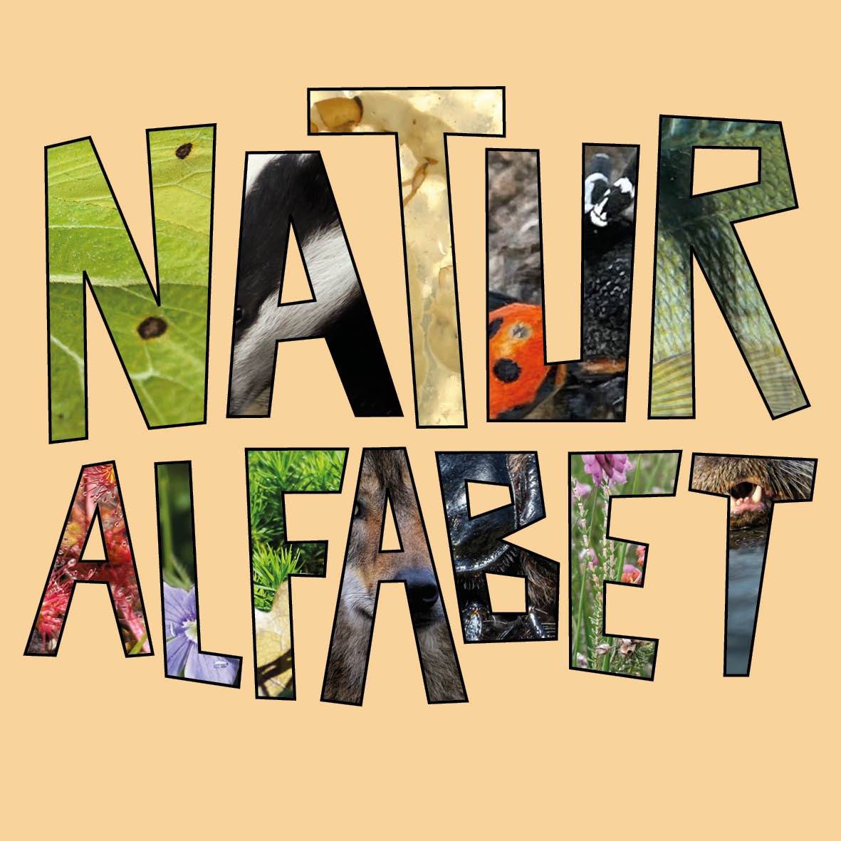 Naturalfabet Releasefest