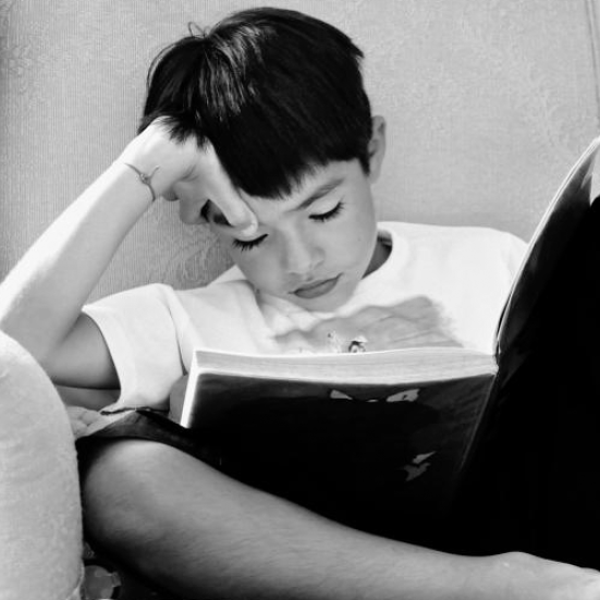 Dreng sidder fordybet og læser en bog