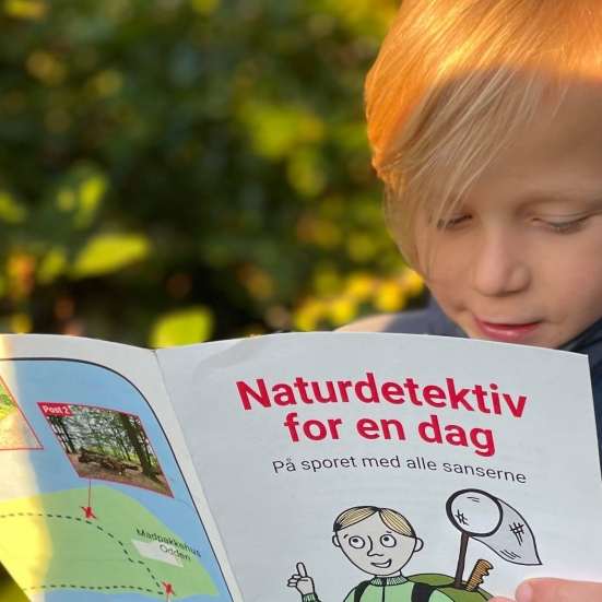 Dreng sidder med en folder, der hedder Naturdetektiv for en dag