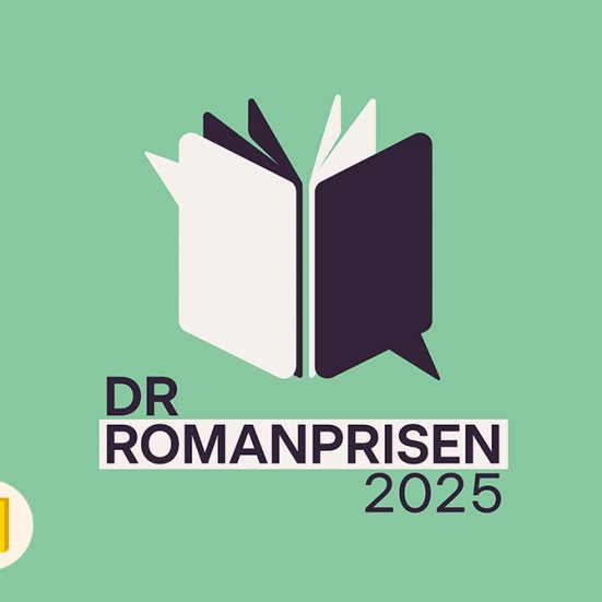 Grafik hvor der står DR Romanprisen 2025