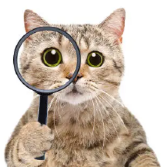 kat med forstørrelsesglas