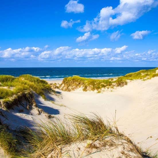 Dansk strand, klitter og blå himmel