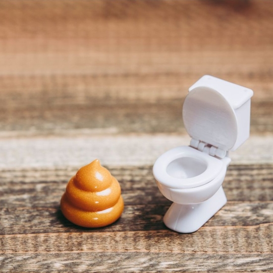 et toilet
