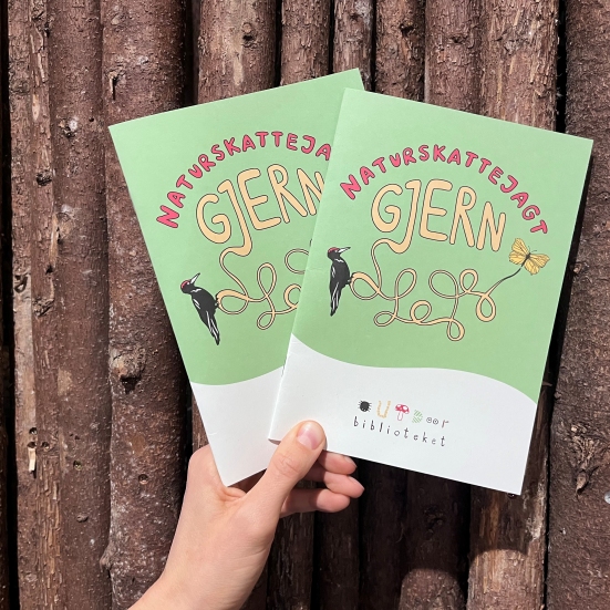 Naturskattejagt Gjern