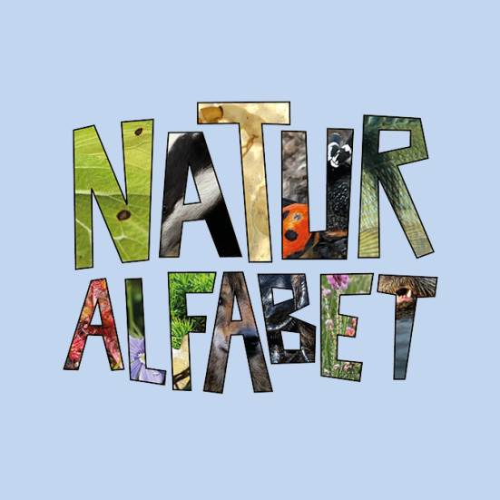 Blå baggrund med skriften "Naturalfabet"