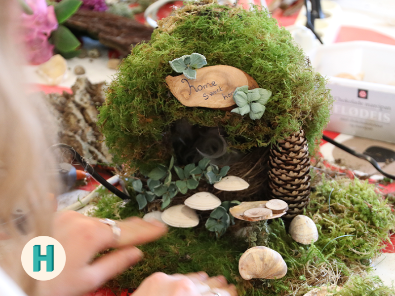 Foto af lille grønt landskab af mos