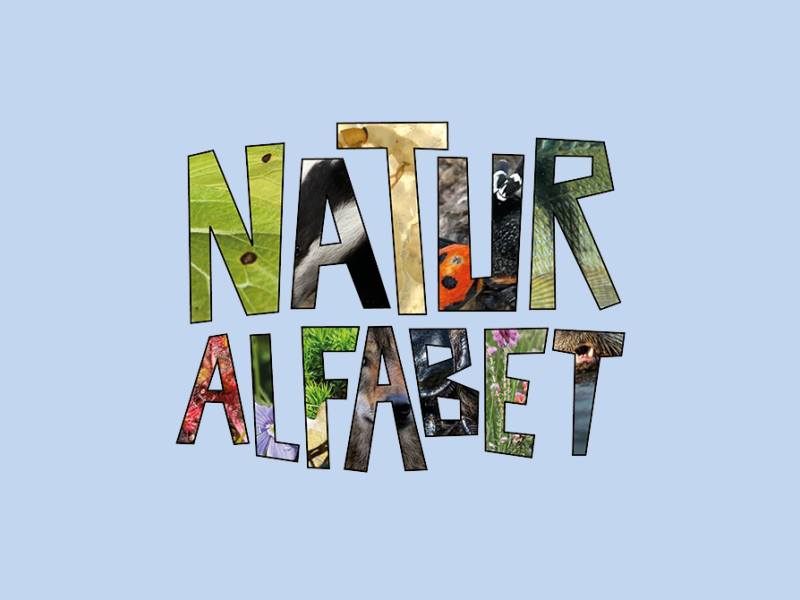 Blå baggrund med skriften "Naturalfabet"