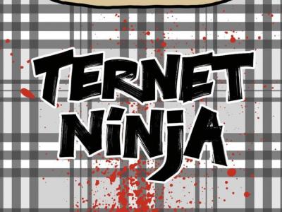 Noget der ligner Ternet Ninja