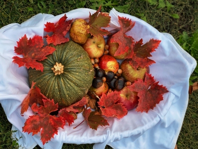 Græskar, æbler og efterårsblade