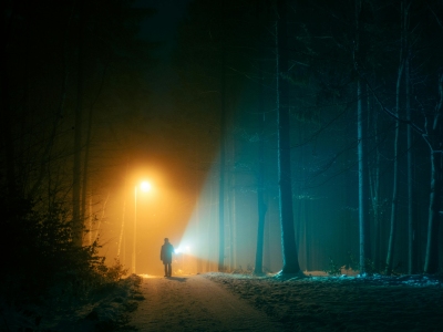 Mørk skov