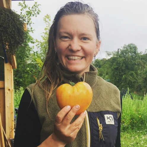 Marie Boesen fra Høsteriet ved Aarhus fremviser en hjerteformet tomat