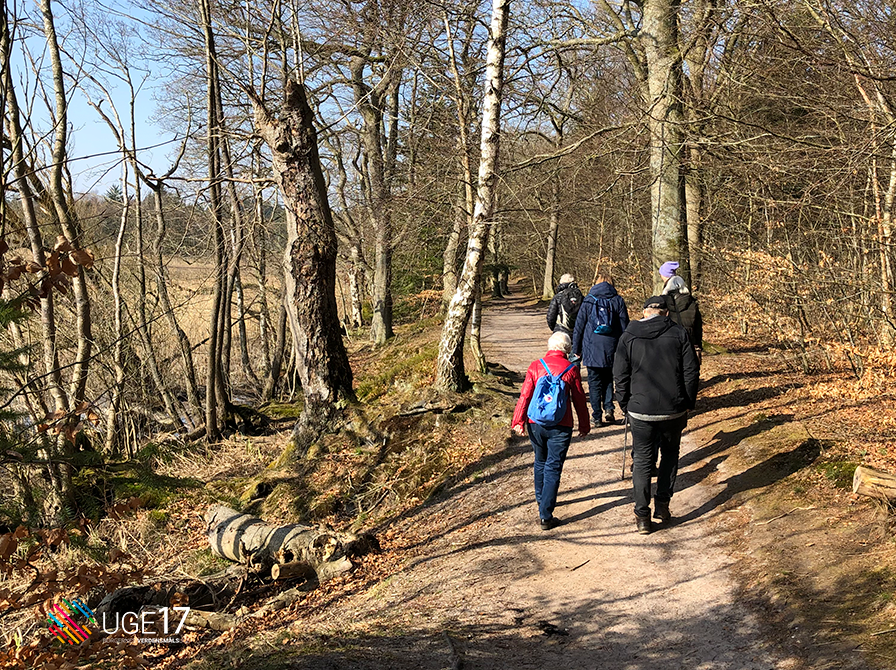 En gruppe mennesker ses bagfra gående gennem en forårsskov