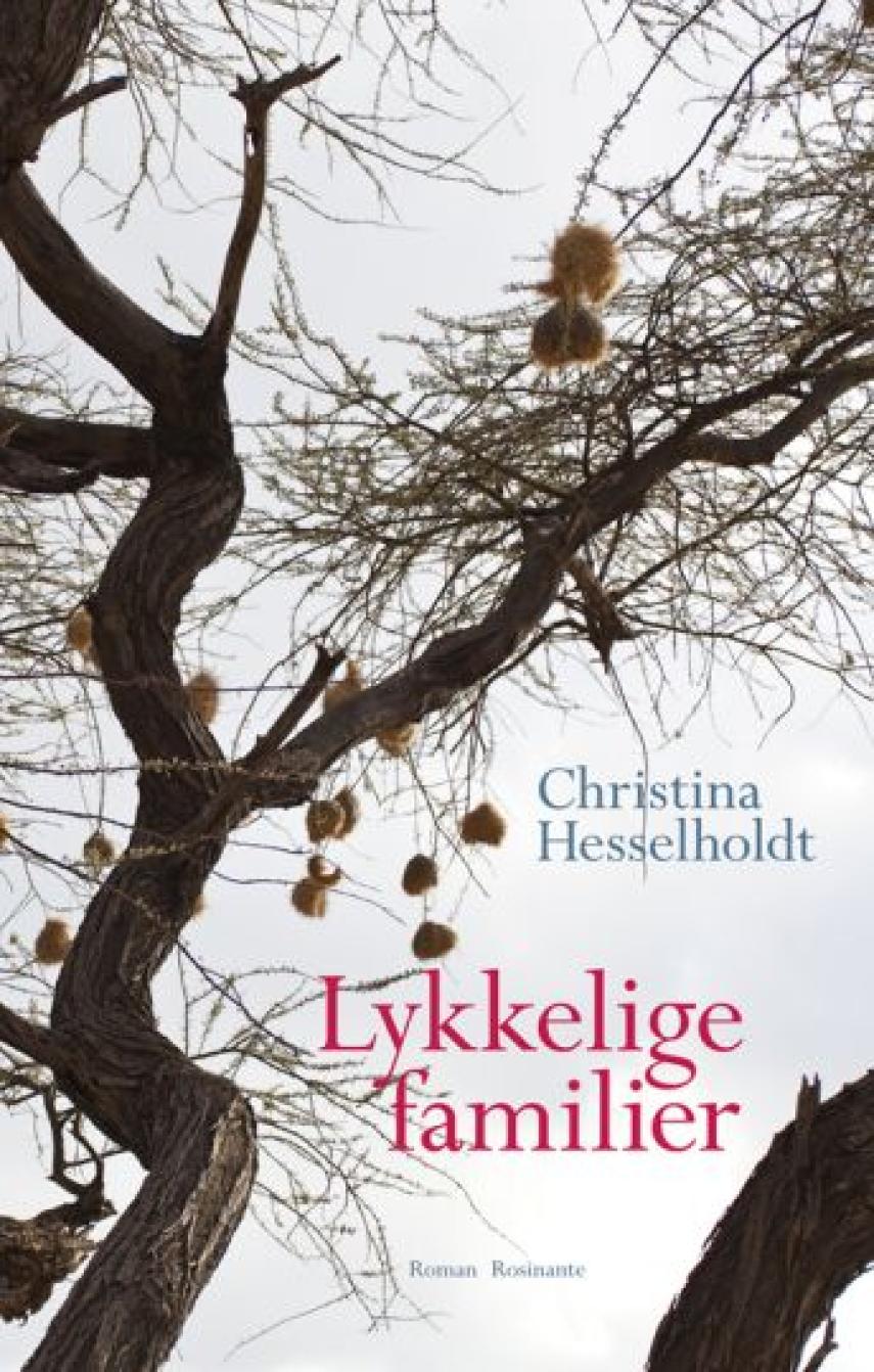 Christina Hesselholdt: Lykkelige familier : roman