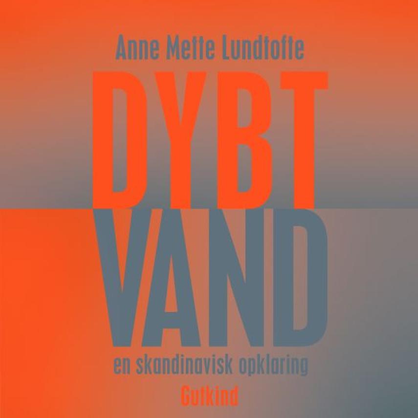 Anne Mette Lundtofte: Dybt vand : en skandinavisk opklaring