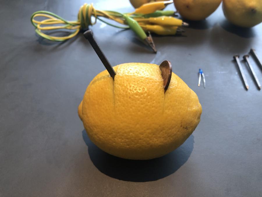 citron med søm og mønt i