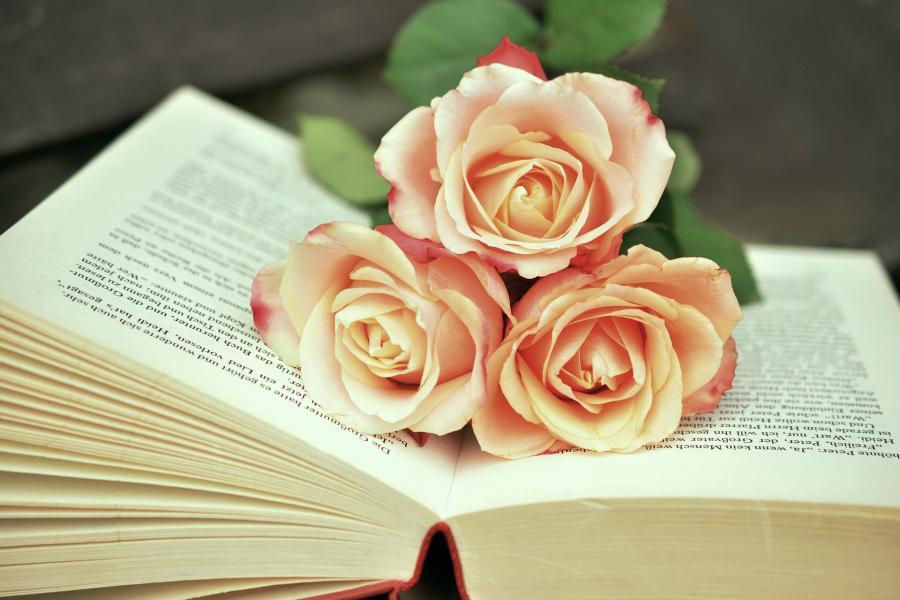 Opslået bog med roser
