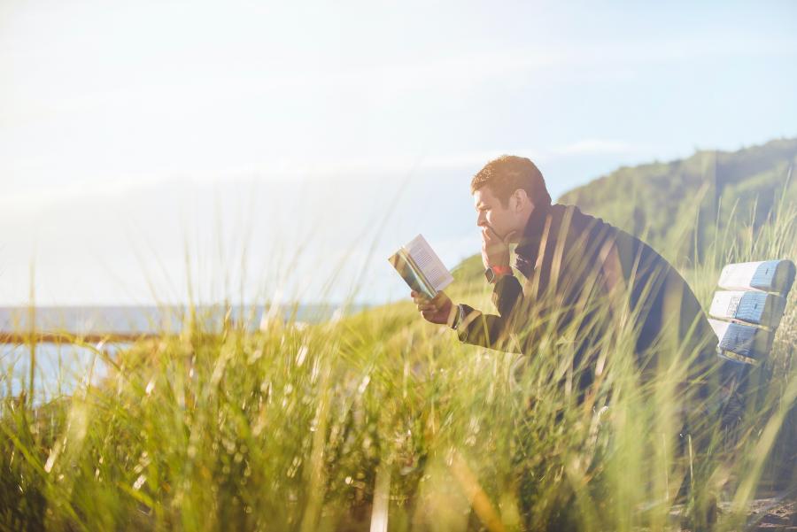 Mand læser en bog på en mark